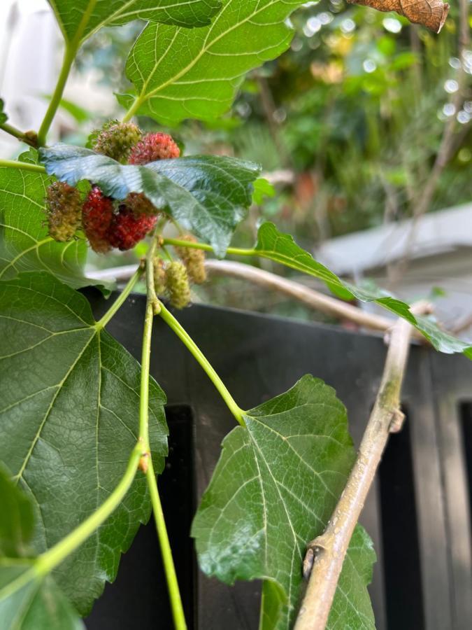 White River Guesthouse 金边 外观 照片